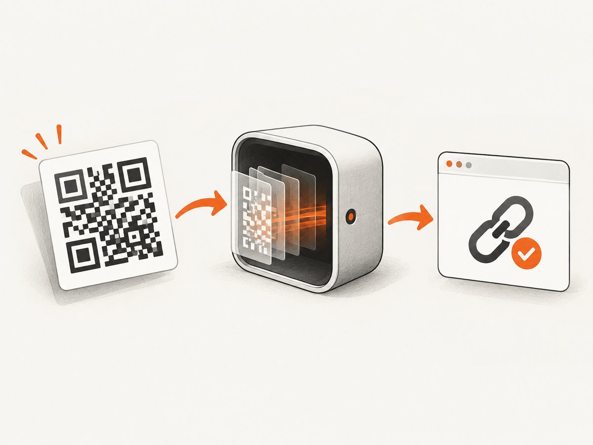 The workflow is decode first, classify the payload, then validate the URL.