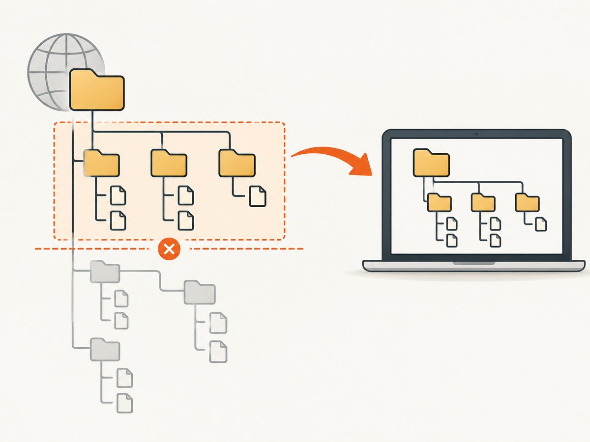 A bounded recursive download follows links under a chosen starting path and depth.