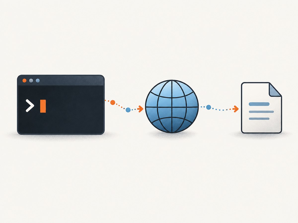 curl transfers bytes from a URL and writes the response to the terminal or a file.